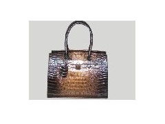 科技守護生命 高科技健康安全產品的革命性發展